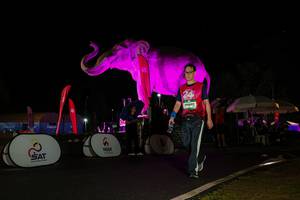 BIB: 
                            <button type="button" onclick="openModal(26544052)" class="btn btn-primary btn-sm float-right btn-popup" data-toggle="modal" data-target=".modal-high-quality">
                        <i class="fas fa-shopping-cart"></i> Add to Cart
                    </button>
                                            <button type="button" onclick="isThisMe(26544052, true)" class="btn btn-success btn-sm float-right btn-popup btn-isme hidden" data-toggle="tooltip" data-placement="bottom" title="นี่คือรูปของคุณใช่ไหม คลิกที่นี่เพื่อเอาเข้าอัลบั้ม">
                        <i class="fas fa-plus"></i> Add to album
                    </button>
                    <button type="button" onclick="isThisMe(26544052, false)" class="btn btn-warning btn-sm float-right btn-popup btn-isnotme hidden">
                        <i class="fas fa-ban"></i> Remove from album
                    </button>